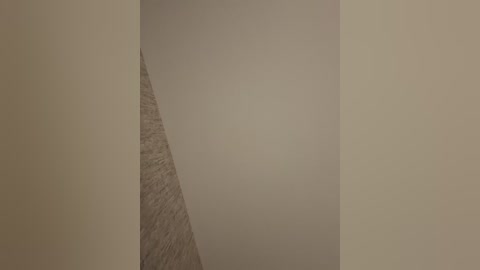 san_sony1 free recording from 2026-02-27 02:43:00