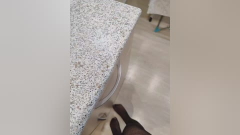 angelia22 free recording from 2026-02-28 01:27:00