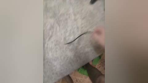 seksiparaa free recording from 2026-03-01 00:21:00