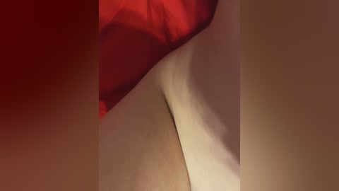 chanel77777 free recording from 2026-03-01 01:31:00