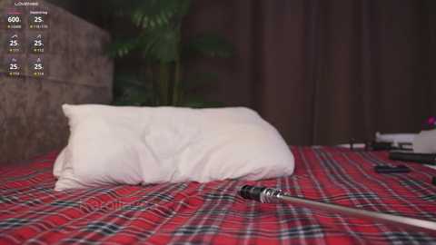 lanamalone free recording from 2026-03-01 00:21:00