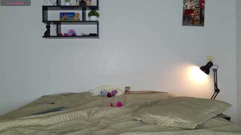 lul1lovee free recording from 2026-03-02 00:03:00