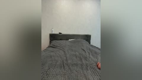 orgazmia free recording from 