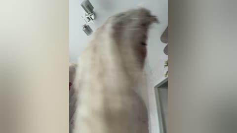 lovensesgirl free recording from 2026-03-02 00:03:00