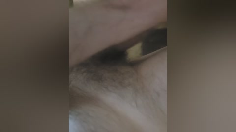 sosochka_99a free recording from 2026-03-02 00:03:00