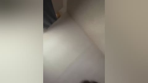 _hennessy_ free recording from 2026-03-03 00:44:00