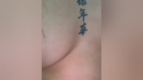 adel9 free recording from 2026-03-03 00:03:00