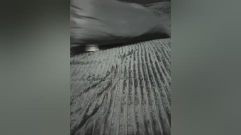 peach__alice free recording from 2026-03-03 06:22:00