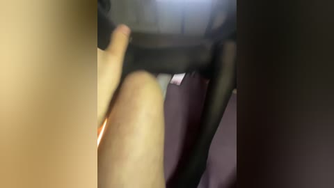 piterskie free recording from 2026-03-03 00:32:00