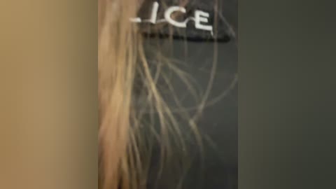 your_kissa_ free recording from 2026-03-03 06:22:00