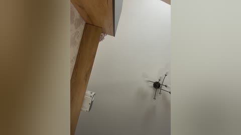 lavandaista free recording from 2026-03-05 00:24:00