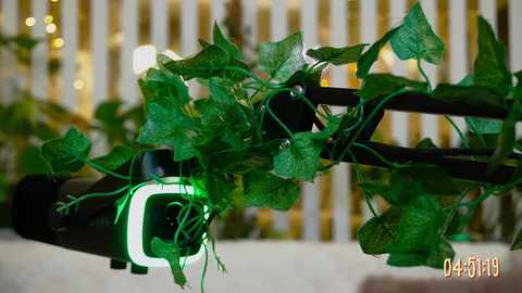 mialiahot free recording from 2026-03-05 00:24:00