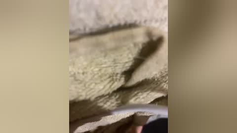 barbi_biana free recording from 2026-03-24 01:05:00