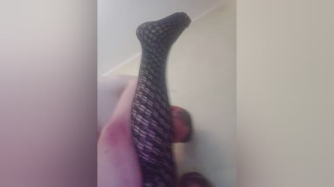 hatypajl free recording from 2026-03-23 01:00:00