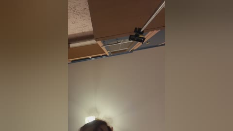 littledelora free recording from 2026-03-23 00:36:00