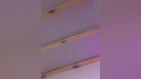 nezukoo free recording from 2026-03-23 16:46:00