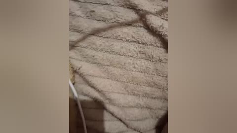 tvoimalchik111 free recording from 2026-03-23 16:46:00