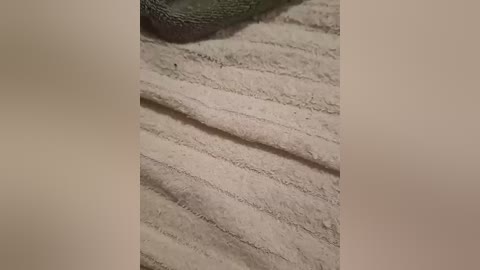 tvoimalchik111 free recording from 2026-03-23 16:46:00