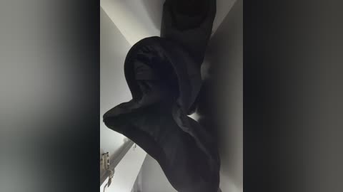 adelaida1001 free recording from 2026-03-24 01:09:00