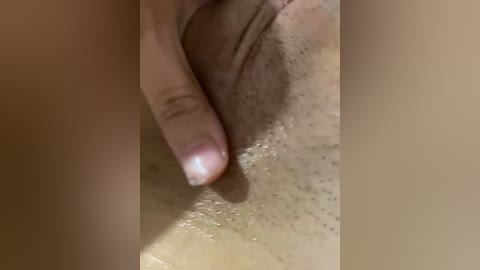 barbi_biana free recording from 2026-03-24 00:06:00