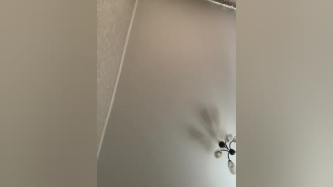 hellmor free recording from 2026-03-24 01:09:00