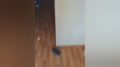 laylay13 free recording from 2026-03-24 01:09:00