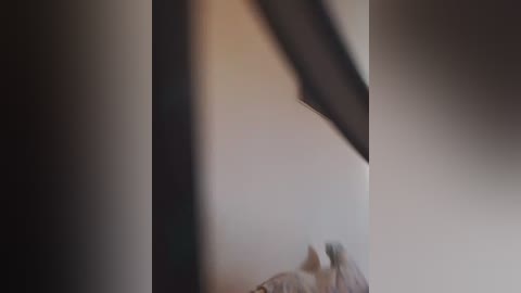 laylay13 free recording from 2026-03-24 01:09:00