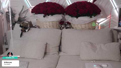 taanni free recording from 2026-03-24 01:09:00