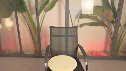 tsukihikari free recording from 2026-03-24 00:06:00