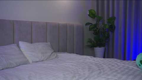 pluxury_ free recording from 2026-03-29 00:30:00