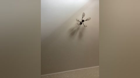 hellmor free recording from 2026-03-26 00:47:00