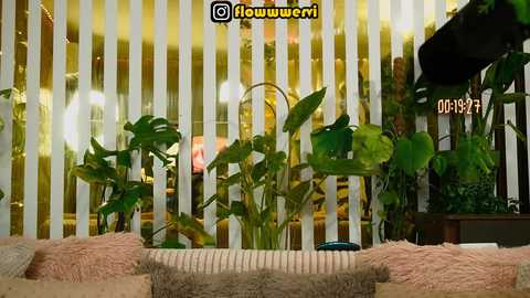 mialiahot free recording from 2026-03-26 00:12:00