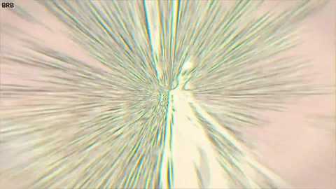 taanni free recording from 2026-03-26 00:12:00