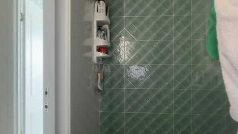 alexarays free recording from 2026-03-27 00:43:00