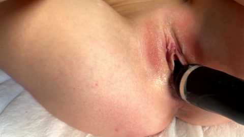 barbiesize free recording from 