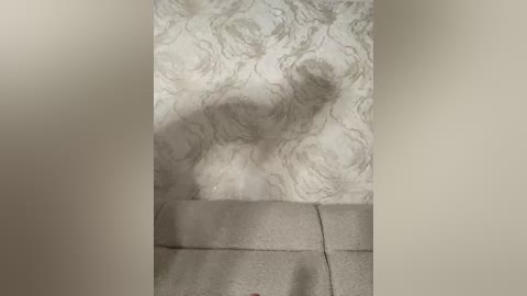 lolafox free recording from 2026-03-27 01:08:00