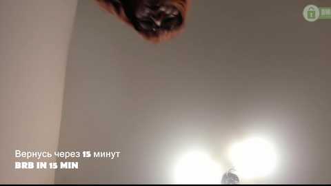 fox_lisa free recording from 2026-03-28 02:47:00