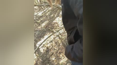 sun_moon free recording from 2026-03-28 00:08:00