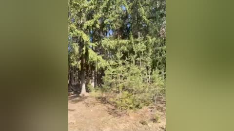 aniram2221 free recording from 2026-03-29 00:30:00