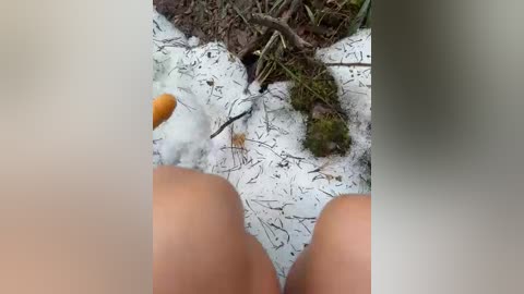 aniram2221 free recording from 2026-03-29 00:30:00