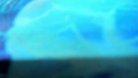 ___rrmodelsstars___ free recording from 2026-03-30 00:23:00