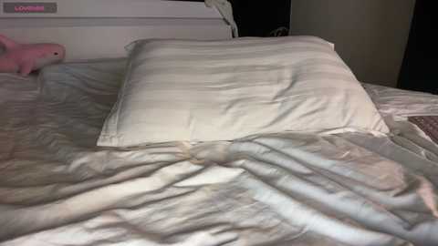 sara_ free recording from 2026-03-30 00:23:00