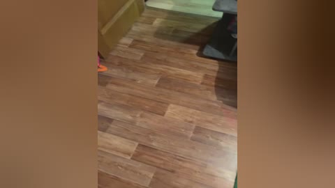 ursula66 free recording from 2026-03-30 00:06:00