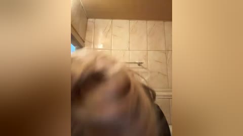 vikos free recording from 2026-03-30 00:23:00