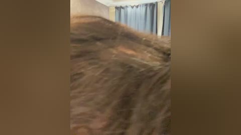 3hotandyoung3 free recording from 2026-03-31 00:36:00