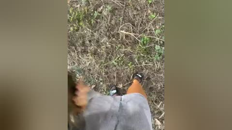 aniram2221 free recording from 2026-03-31 00:36:00