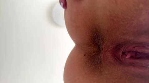 auraxo free recording from 2026-04-02 01:46:00