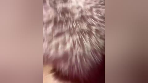 family707 free recording from 2026-03-31 03:34:00