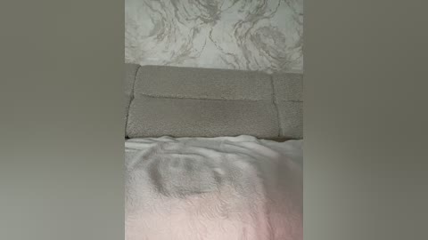 lolafox free recording from 2026-04-01 00:08:00