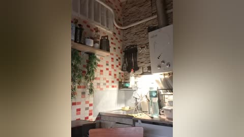 murr_kitty free recording from 